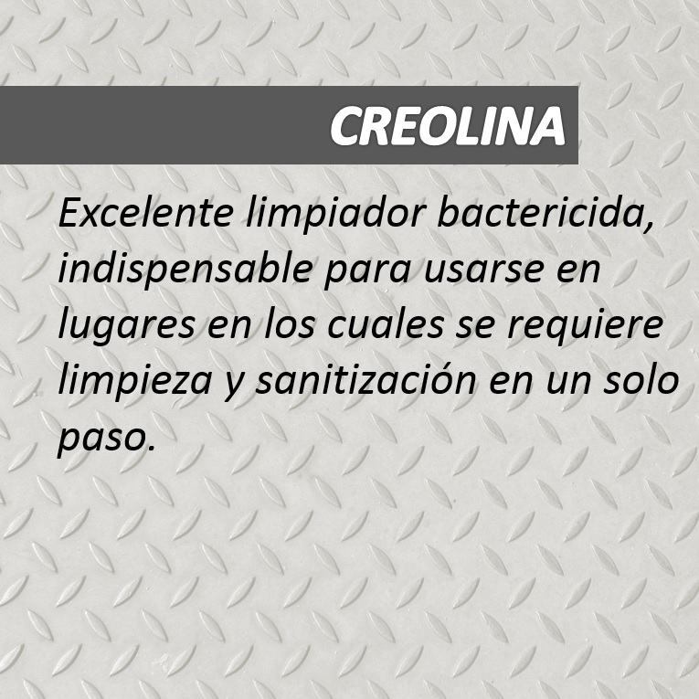 CREOLINA
